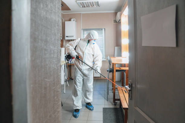 Best Black Mold Removal  in North Falmouth, MA